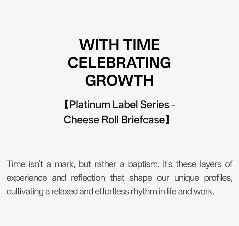 Cheese Roll Briefcase - Large