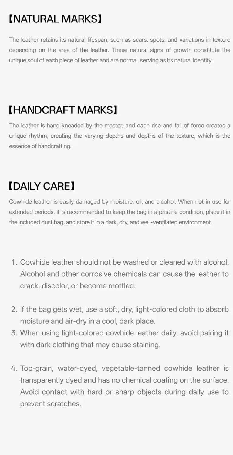 Cheese Roll Briefcase - Large