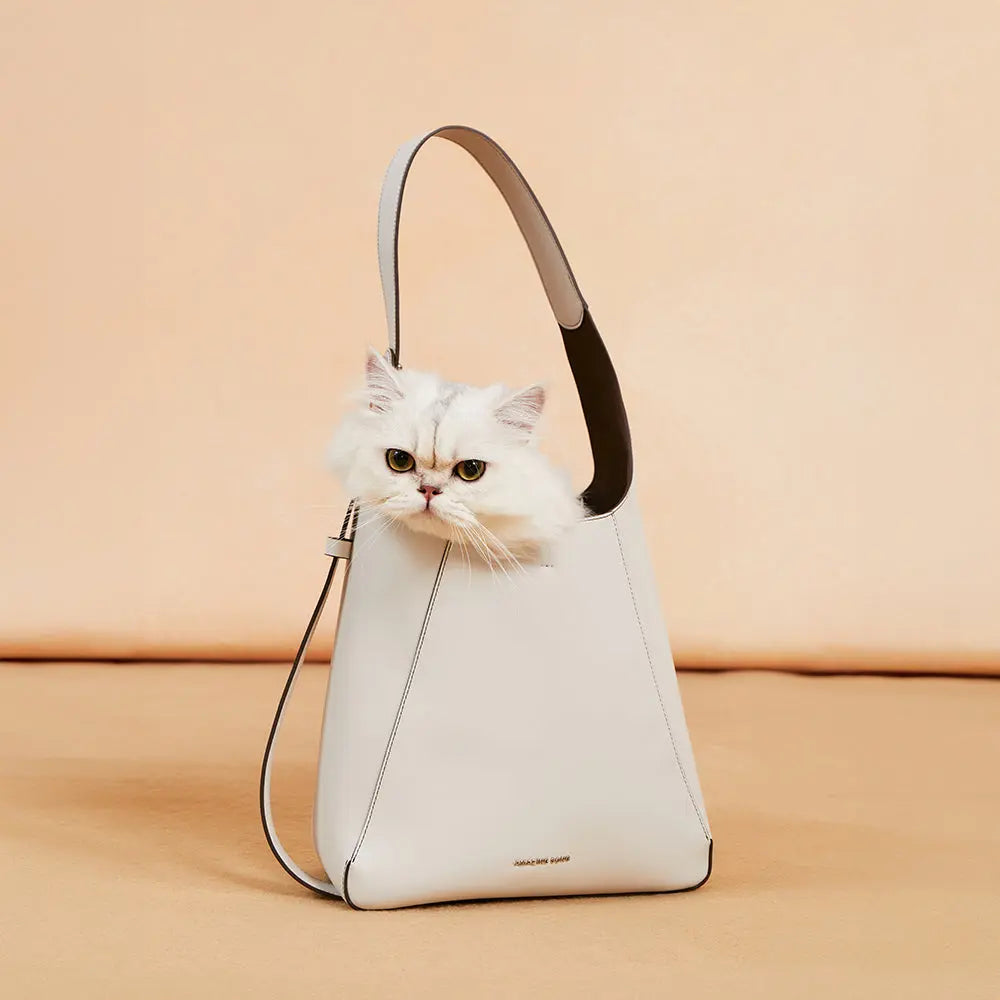 White fluffy cat sitting inside a stylish beige handbag on a peach background, Amazing Song